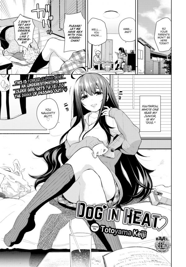 Dog in Heat